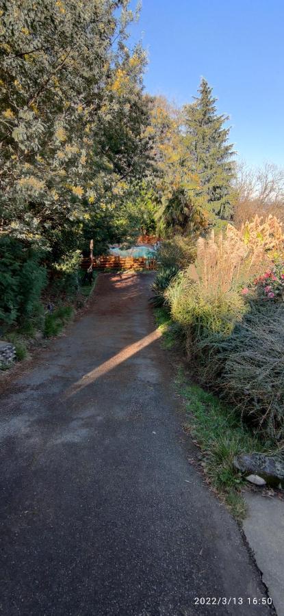 B&B En Plein Coeur De La Foret Artiguelouve ภายนอก รูปภาพ